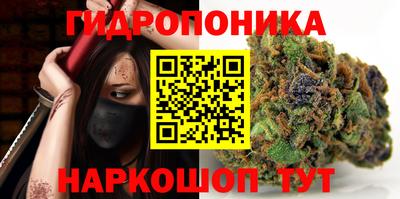 индика Шебекино