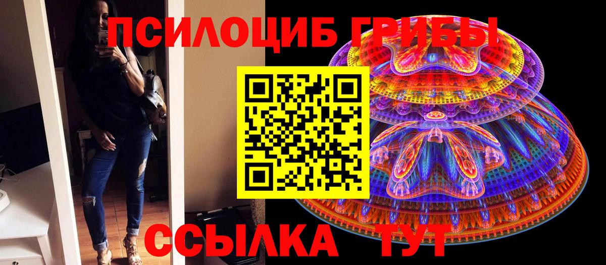 Псилоцибиновые грибы прущие грибы Кимры