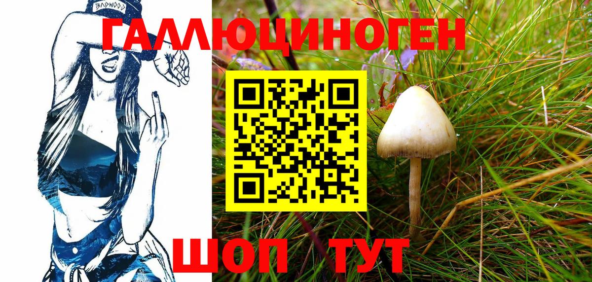 МДМА Кимры