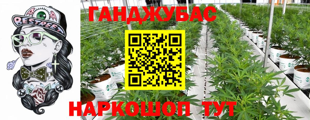 Канабис сатива  МАРИХУАНА Bruce Banner  Кимры  Вход с VPN  Бошки Шишки MAZAR 